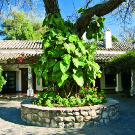 Interior courtyard of a House