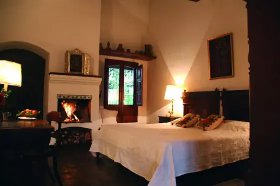 The Stay