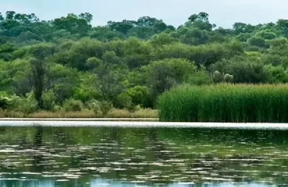 El Totoral Reserve en Estancia El Bordo de las Lanzas, Salta, Argentina